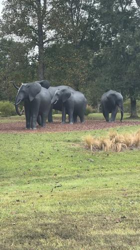 553144692_1900388810525607_2050070840335608251_n