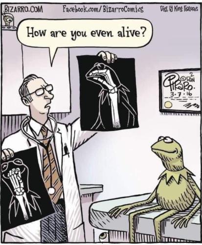 Screenshot_20251002_065537_Gallery