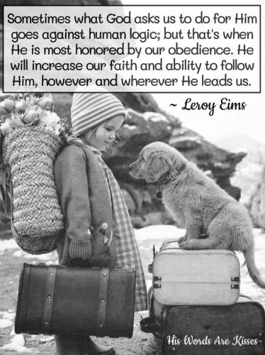 1e73454a68e2255542d8e6d9adab21c4