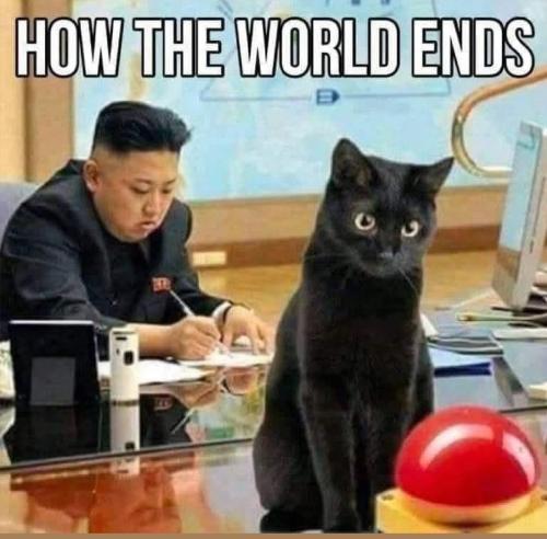 Screenshot_20251030-094545_Pinterest