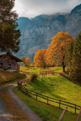 559169138_1372218641581389_2349509272470122438_n