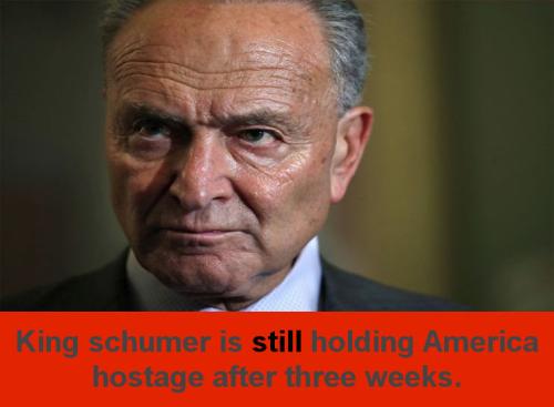 schumer73