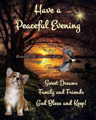 560505122_18027399536743683_495348620699212771_n