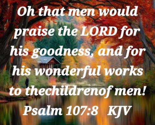 72ecf1e8-9ef5-49d6-b1dc-5b3e467d079e