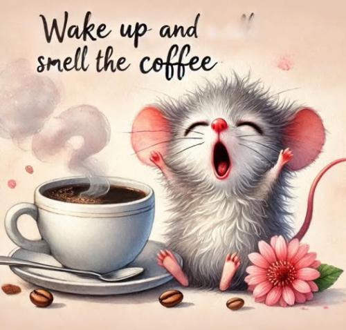 568485036_805498715459223_4865194944910806490_n