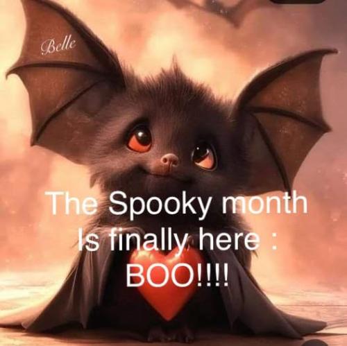 556092365_1385892182892821_1411422123237740476_n