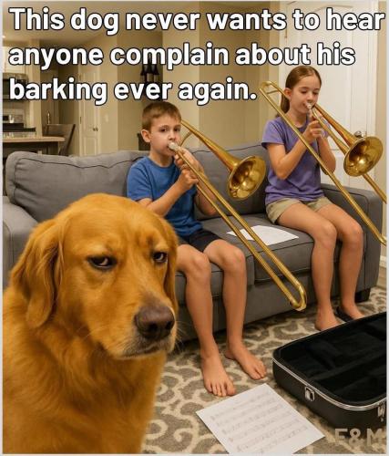 IMG_20251008_142841_019