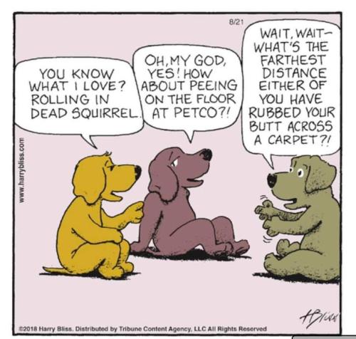 08ae1ec7698fc2e5af95f85b3a4c0916