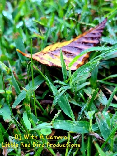 Screenshot_20251008_075752_Gallery