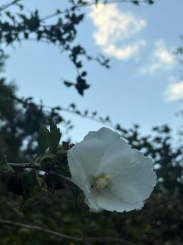 552227217_1694825797859566_726330428994829912_n