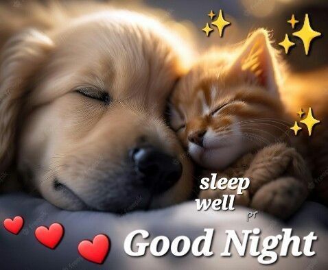 49cfb1ac953abfb23d8106846fb8797f