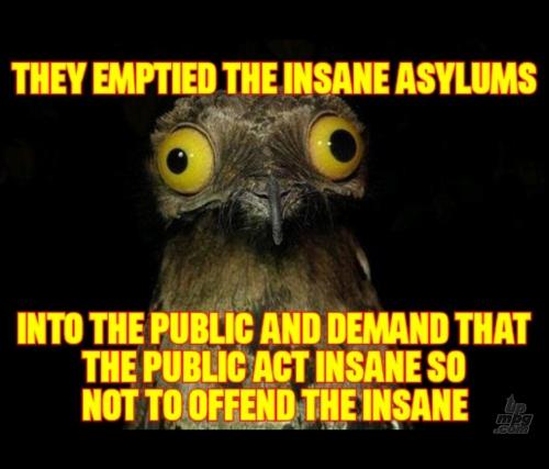 18bb78f4-f23c-4e70-9f69-a6351adef98b