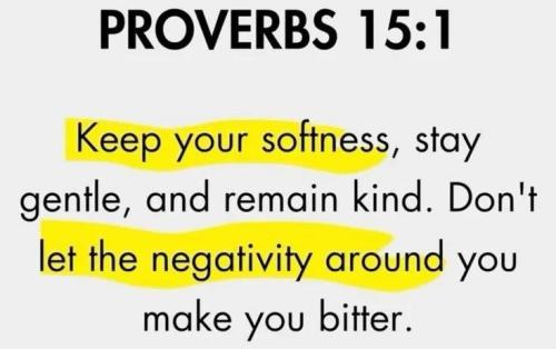 IMG_20251020_192434_495