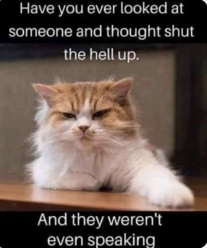 e7f49e0c8e2e00006e8974679c4d339d