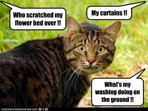 02f53d7a6fa7c7969f97b11ccdeaf5aa