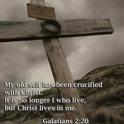 FB_IMG_1594557387236