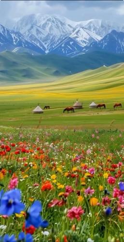 557588289_25703269069261018_3149555006842163516_n