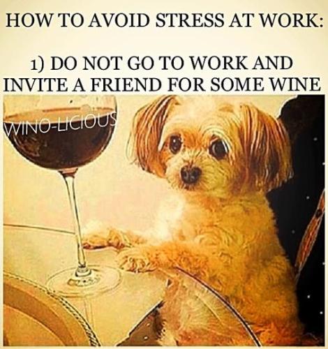 67560543_1210059505853648_8258281563909783552_n