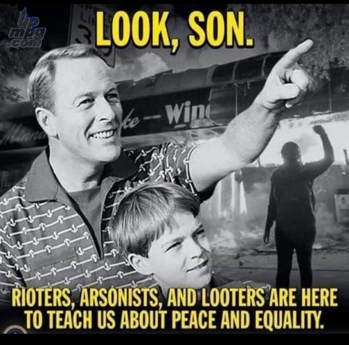 main-qimg-d0fb462c8692b913039a7cf23803f29d