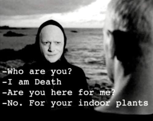 IMG_20251007_112454_846