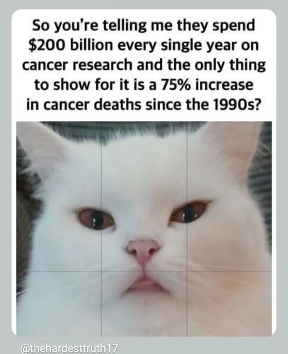 Screenshot_20251014_120656_Instagram