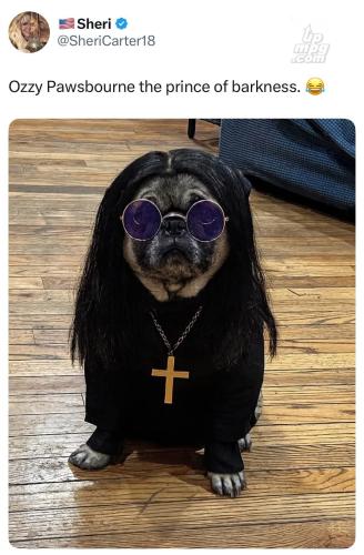 main-qimg-5be220a923dff7ddccbf86f81b87cc18