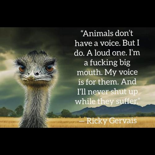 dont have a voice
