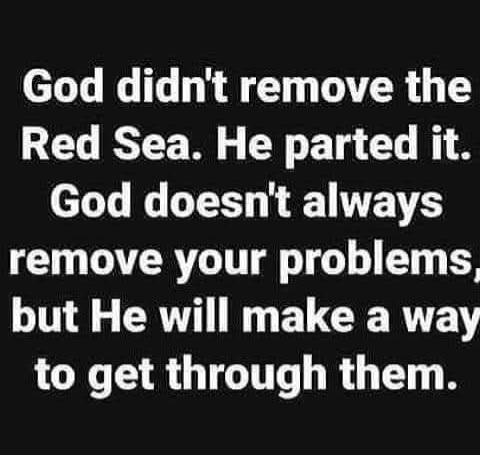 f11a2bcb-f0f9-405e-a0db-660f1b764504