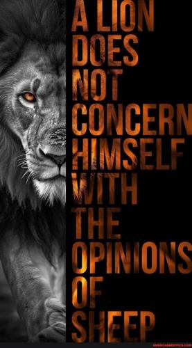 5e8e19cea647d61d76f7d70caf2aae4fb0511a1ed8284947e853663a2082e7d6_1