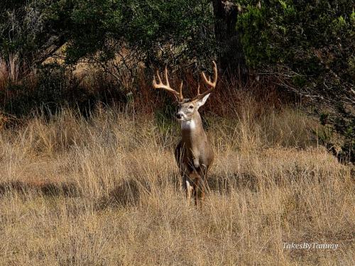 Not too sure about me