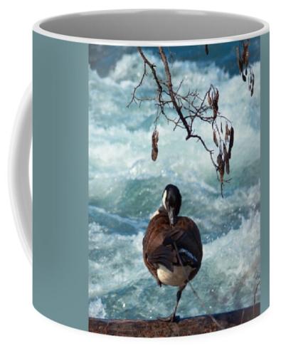 Screenshot_20251018_083942_Brave