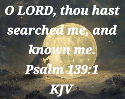 6a4fcbe4-451a-4a84-85e3-c3bdfcc2b818