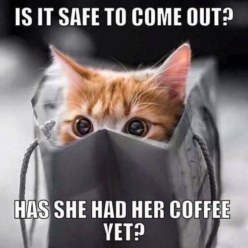 e67ea7a745ea864f4a6cf4abbe9c1f8d