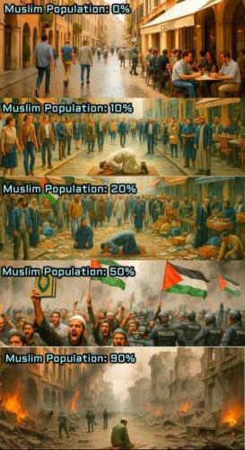 IMG_20251014_191838_526