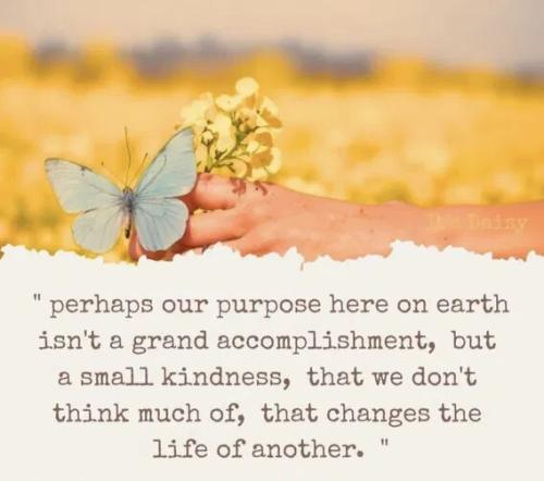 4ce29847e21d051ff5b2d9ceca8e17da