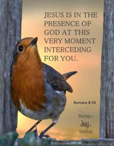 ac683d6325bc54e9e67769b1b73e2edc