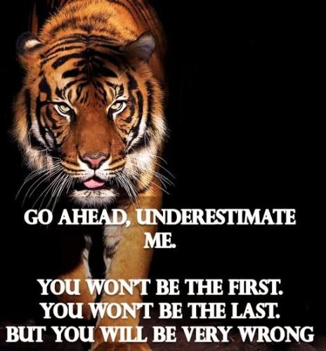 101025 - Under estimate me