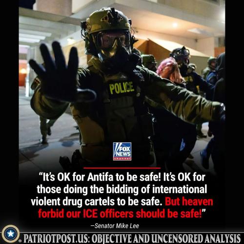 01K772NSPK1ZH5J8SW4Y678J4Z