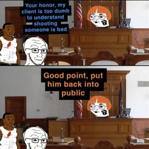 too-dumb-to-understand