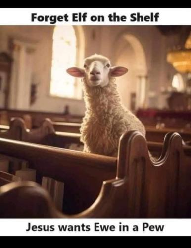 49dc8e0ff81a6f027cb0bd63ad301a6b