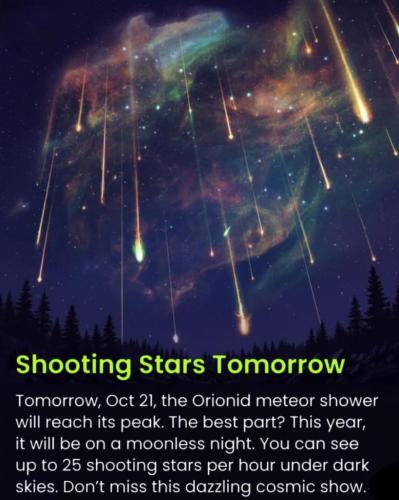 d4b2ce59-caed-453e-989e-24f61f741286