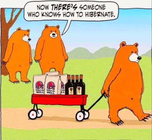 565103798_3238311926332729_8878365716637032376_n