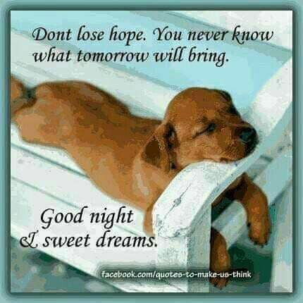 b6b02e53689f59998e382a61d03838da