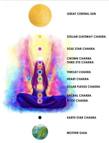 ,       ,        423193798_7468111