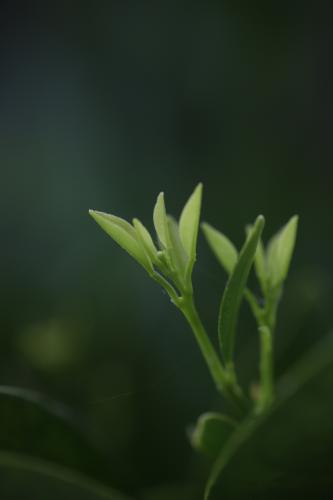 photostudio_1760794449607