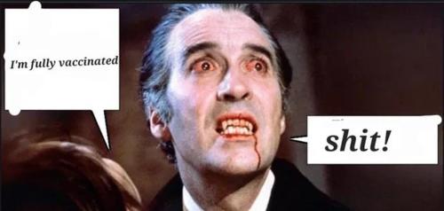 a95a8b77-add0-4de8-a08b-1a663102838d