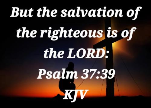 006342e6-02a4-44f6-a9b6-086d035ad5c5