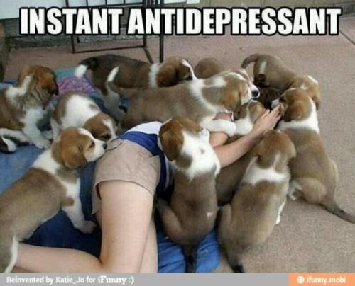 341d1449206be5e13d1a380c7710d041