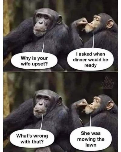 _main-qimg-e9e12a9574ee201e38022bcbdc71ea86