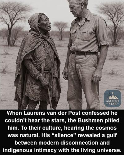 6fb177c8b633de84095771429369fd82